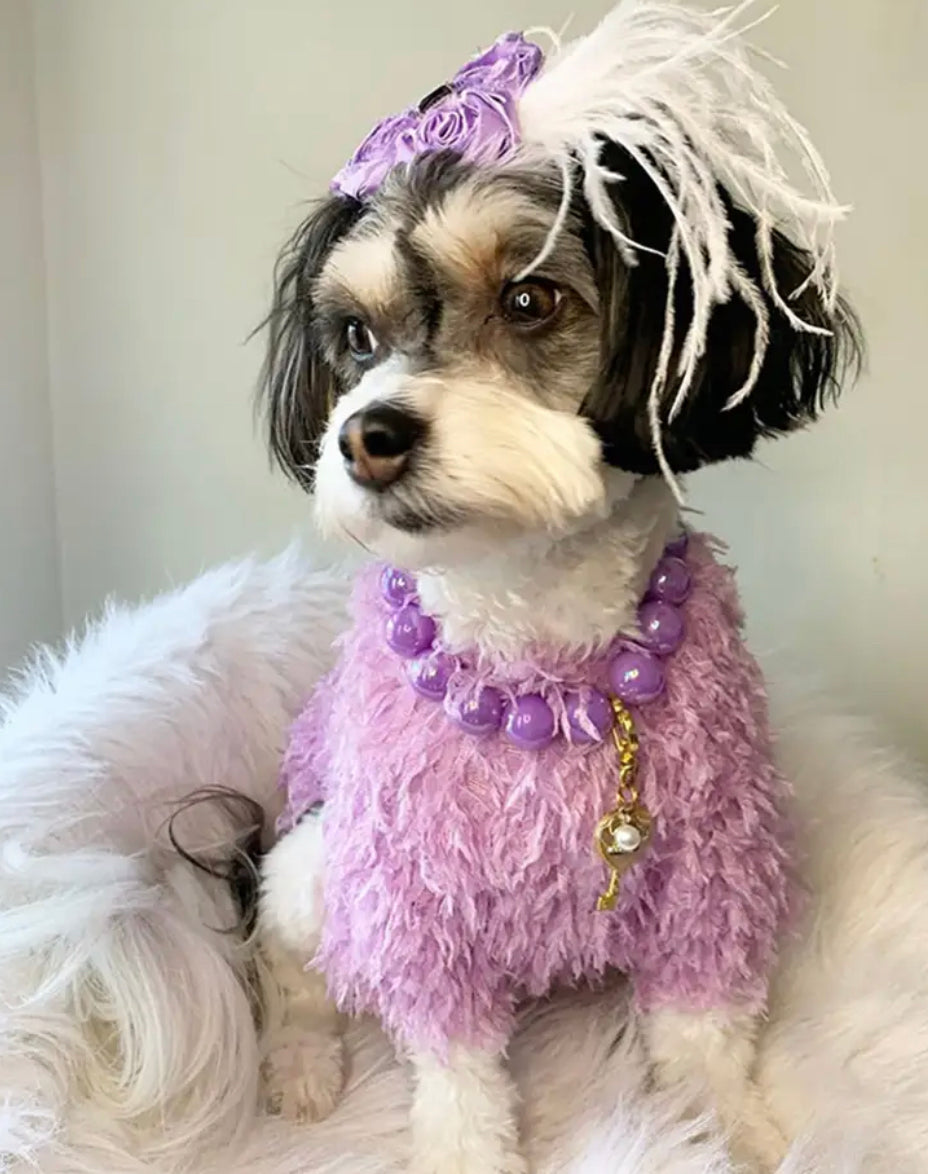 Gatsby Ruffle Knit Dog Sweater | Textured Cozy Dog Sweater