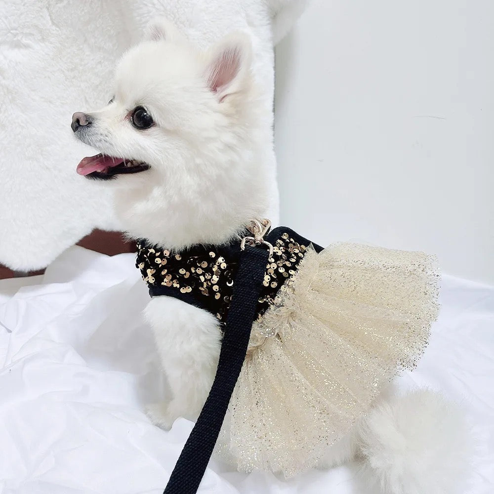 Twinkle Star Dog Dress Set | Party Dress with Matching Bow