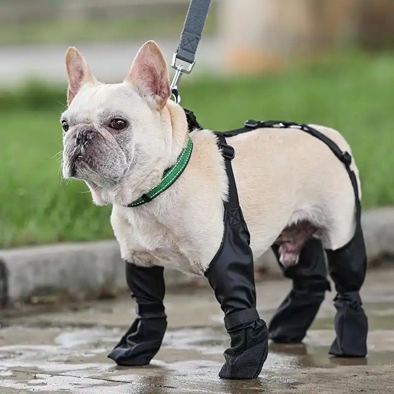 Suspender Dog Boots | Fashion Dog Boots with Suspenders