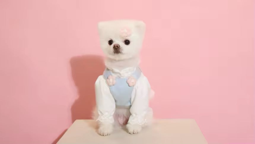 Baby Blue Easter Bunny Outfit – Easter Dog Hat Set