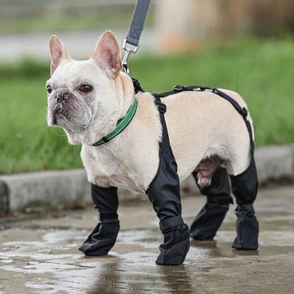 Vancouver Dog Boots | Waterproof Rain Dog Boots