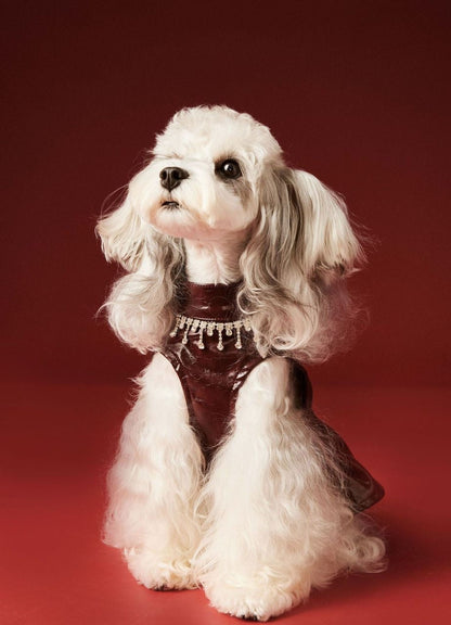 Donna Dog Dress | Dog Dress for Special Occasions
