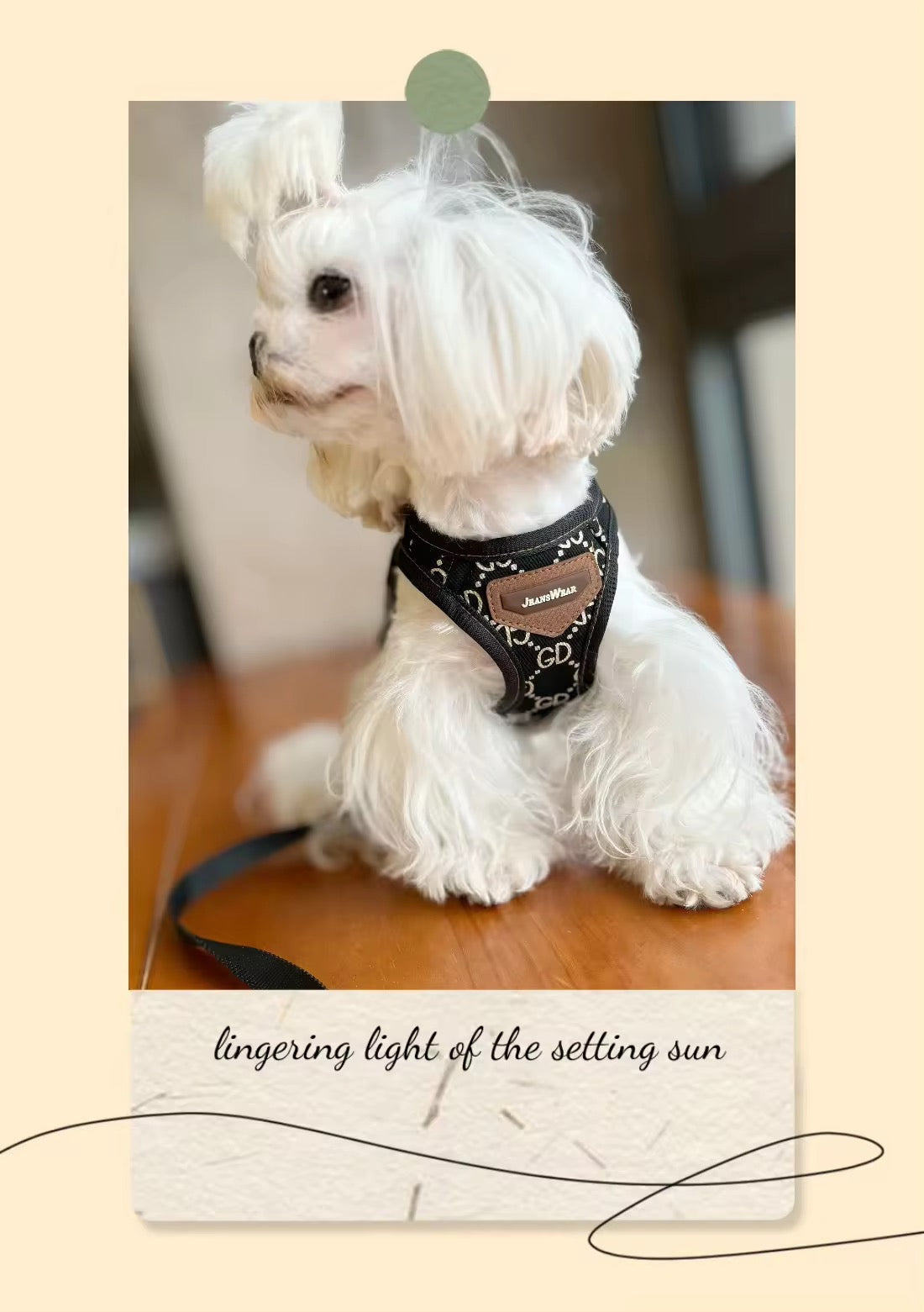 Gigi Dog Harness & Leash Set | Adjustable Dog Walking Set