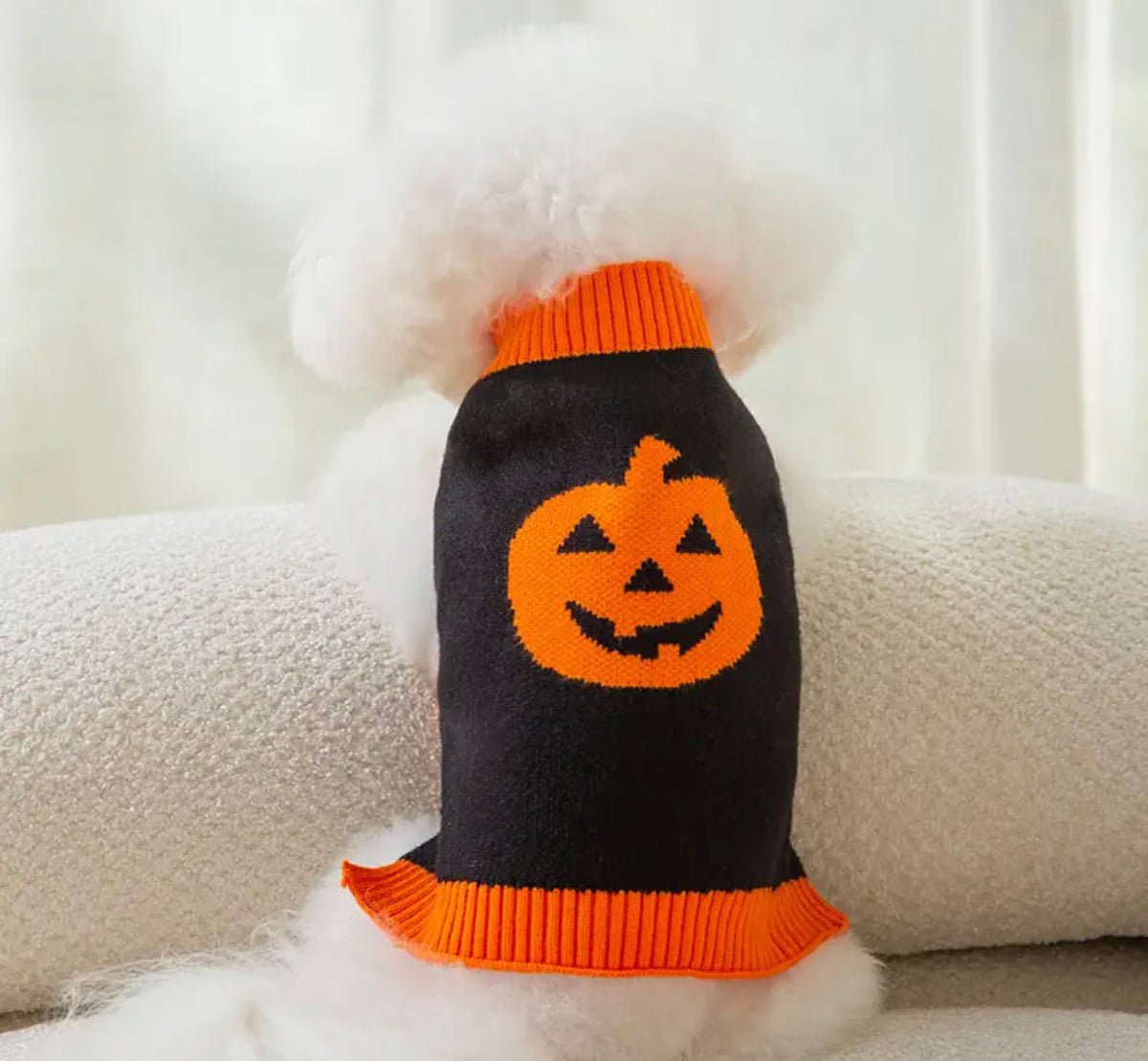 Pumpkin Dog Sweater | Halloween Dog Costume