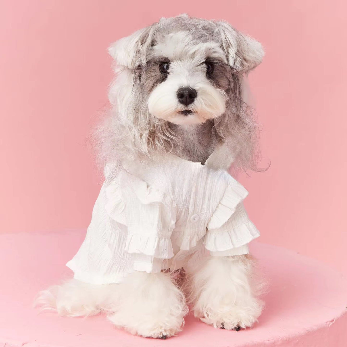 Alice Blouse for Dogs – Elegant Dog Blouse Outfit