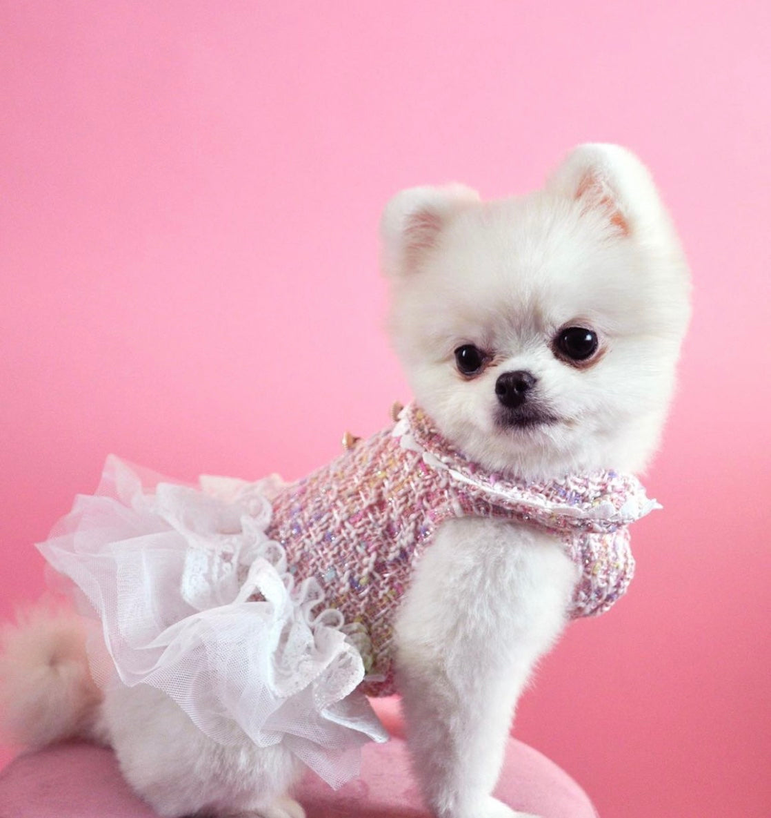 Doggy Pink Tutu Dress – Plaid Dress with White Tutu for Dogs