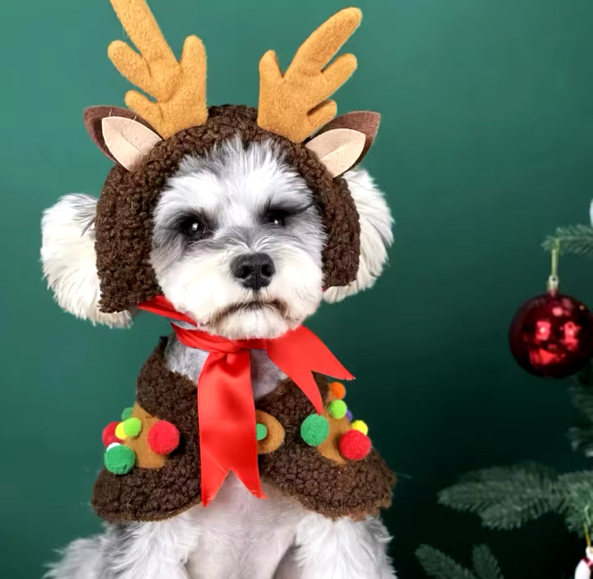 Reindeer Christmas Cape Set – Luxury Holiday Outfit for Dogs