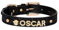 Onyx Crown Name Dog Collar | Customized Dog Collar