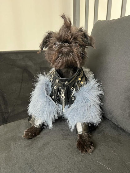 Jupiter Star Dog Jacket | Faux Leather Dog Coat with Fur Trim