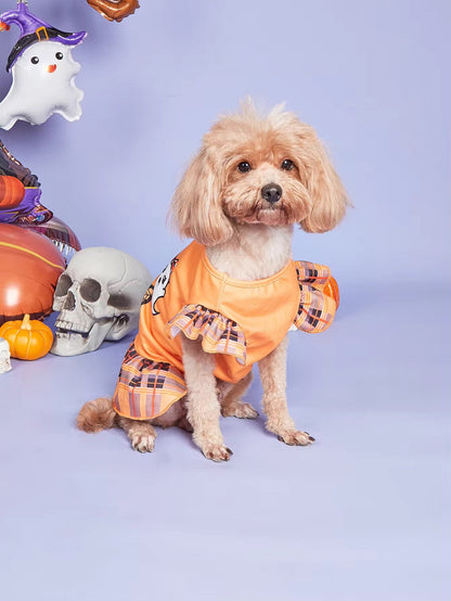 Miss Boo Dog Dress | Halloween Dog Dress