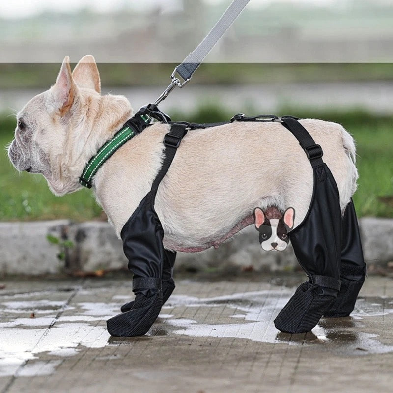 Vancouver Dog Boots | Waterproof Rain Dog Boots
