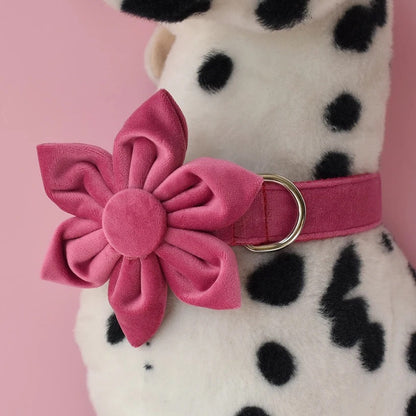 Baby Boo Engraved Dog Collar and Leash Set | Personalized Walking Accessories