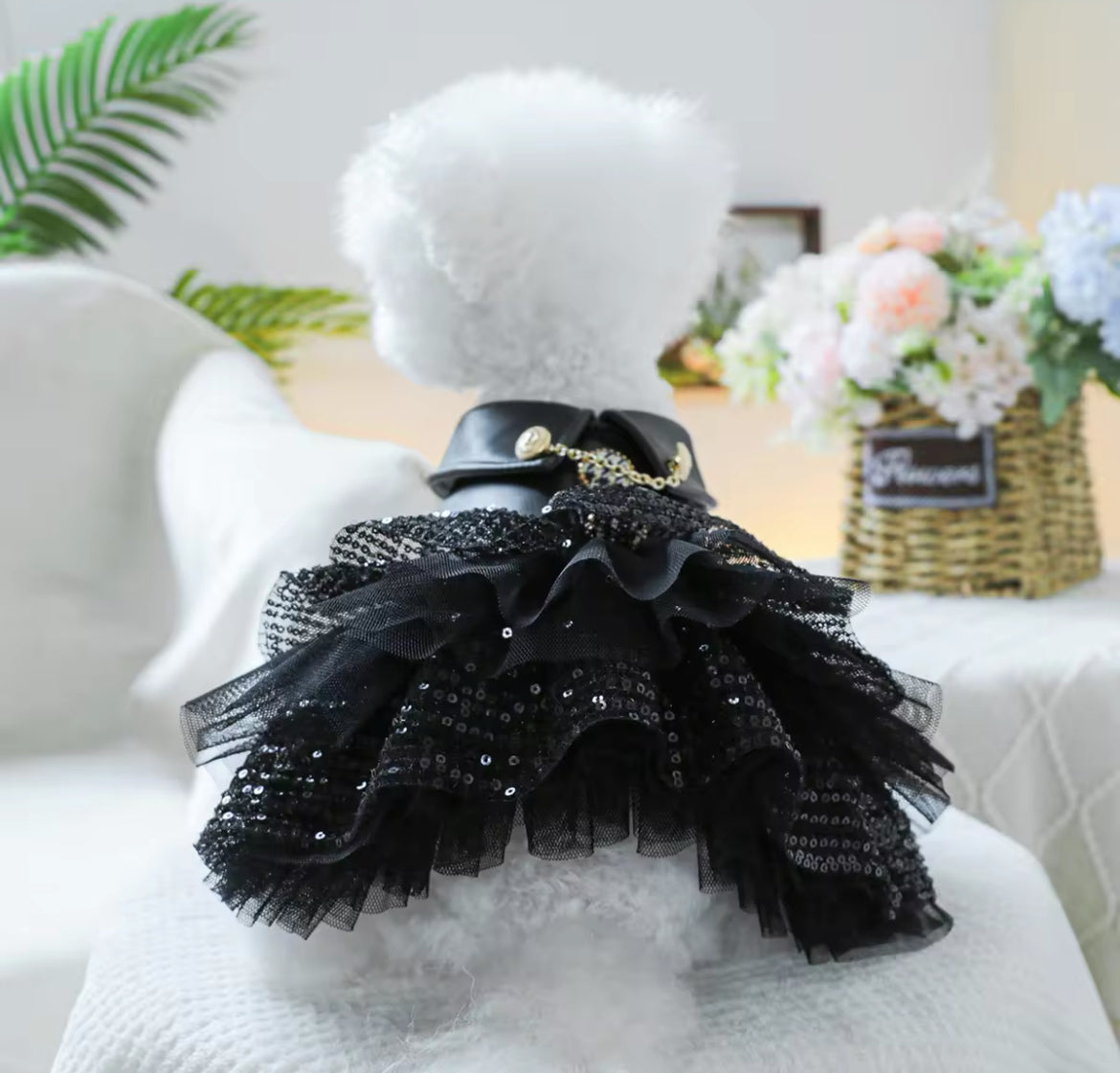 She’s a Rockstar Dog Dress | Dog Dress for Special Occasions