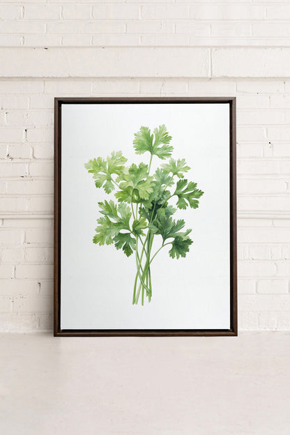 CILANTRO, Oeuvre sur toile étirée