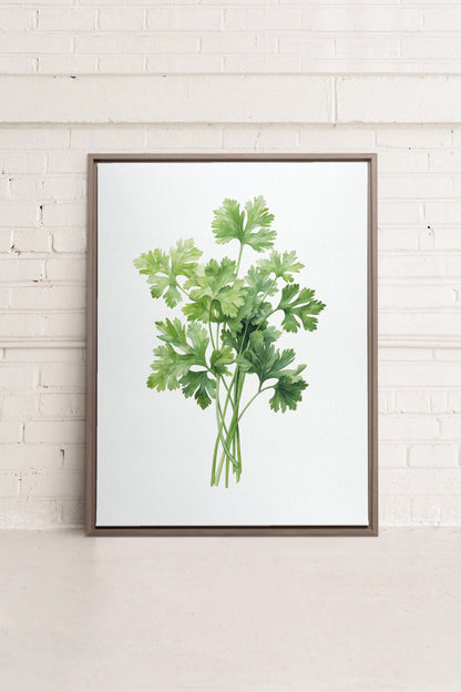 CILANTRO, Oeuvre sur toile étirée