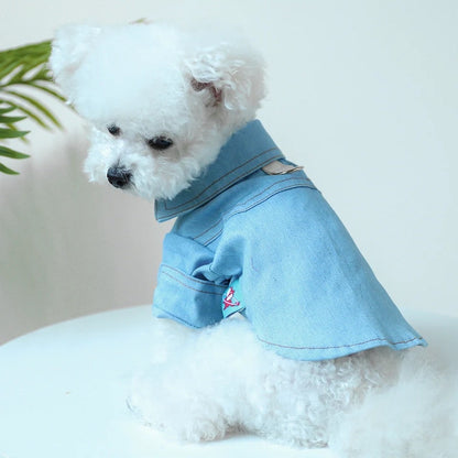 Denim Dog Tee | Casual Dog T-Shirt Outfit