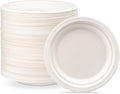 10'' Plain Dish - Bagasse