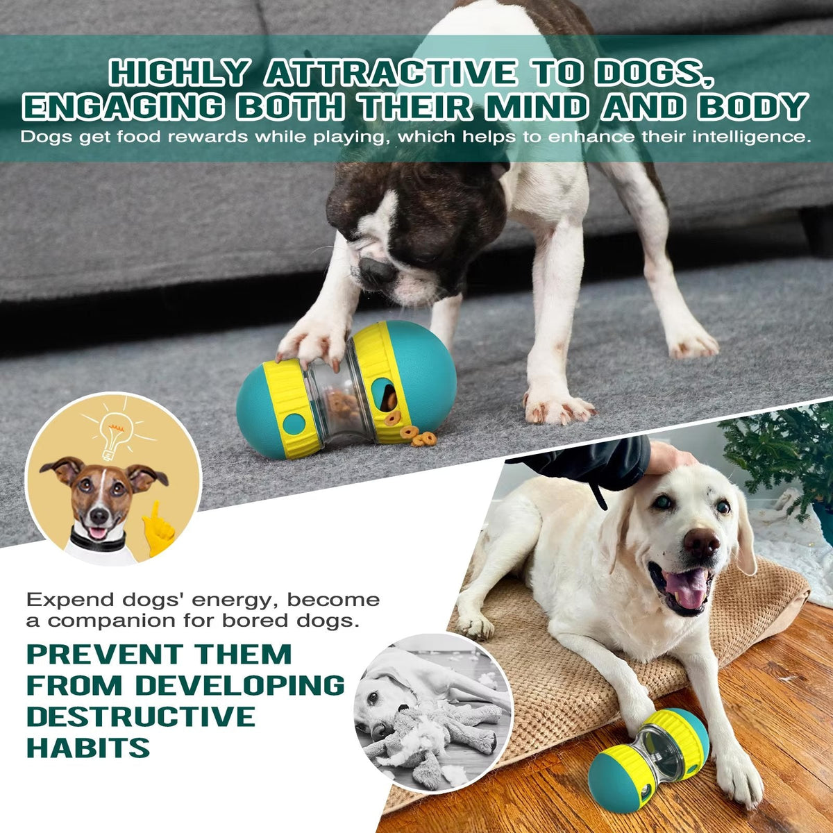 Interactive Slow Feeder Oval Toy – Dog Food Dispenser