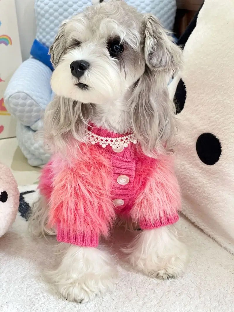 Dog Sweater | I’m Fabulous Dog Sweater