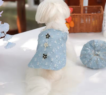 Cindirella Dress & Hat Set – Luxury Fantasy Dog Outfit