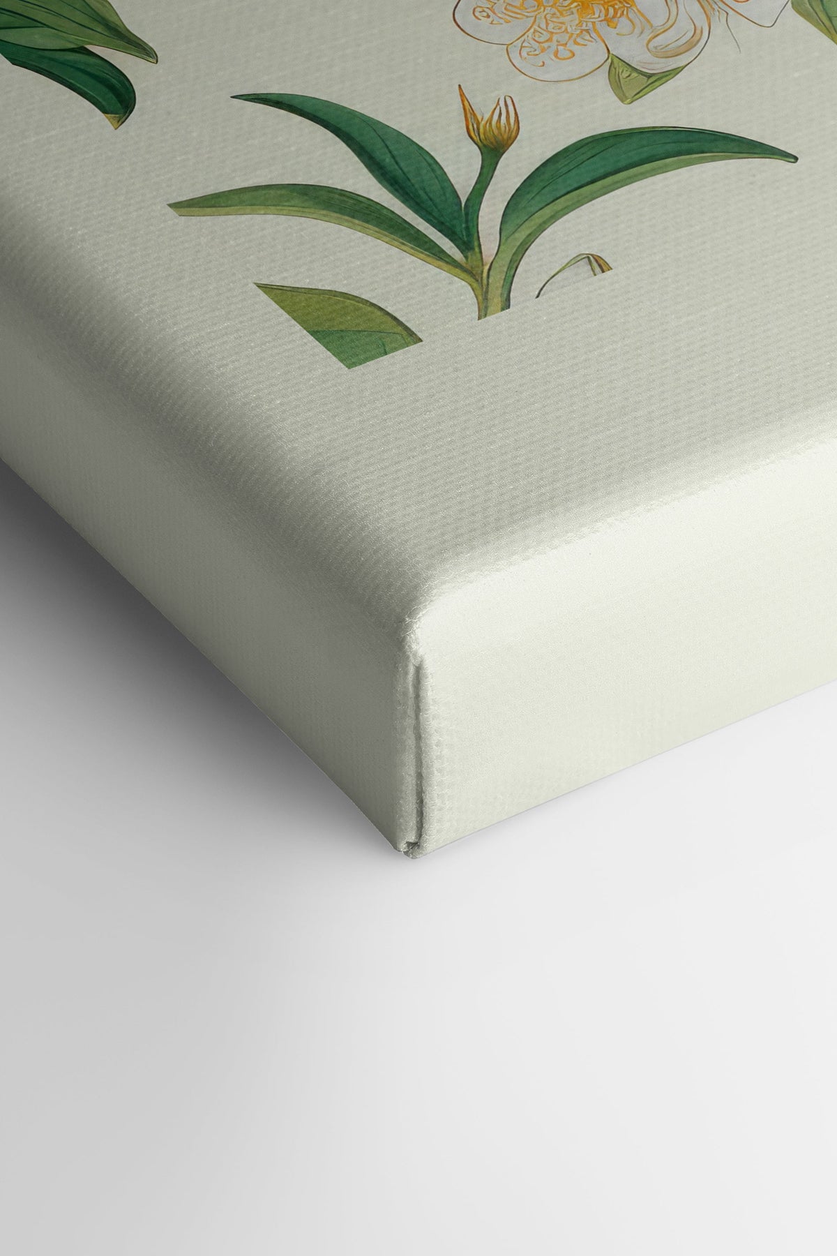 FRUIT PRINT, Oeuvre sur toile étirée
