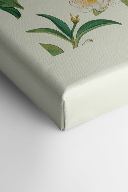 FRUIT PRINT, Oeuvre sur toile étirée