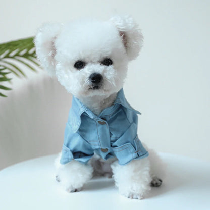 Denim Dog Tee | Casual Dog T-Shirt Outfit