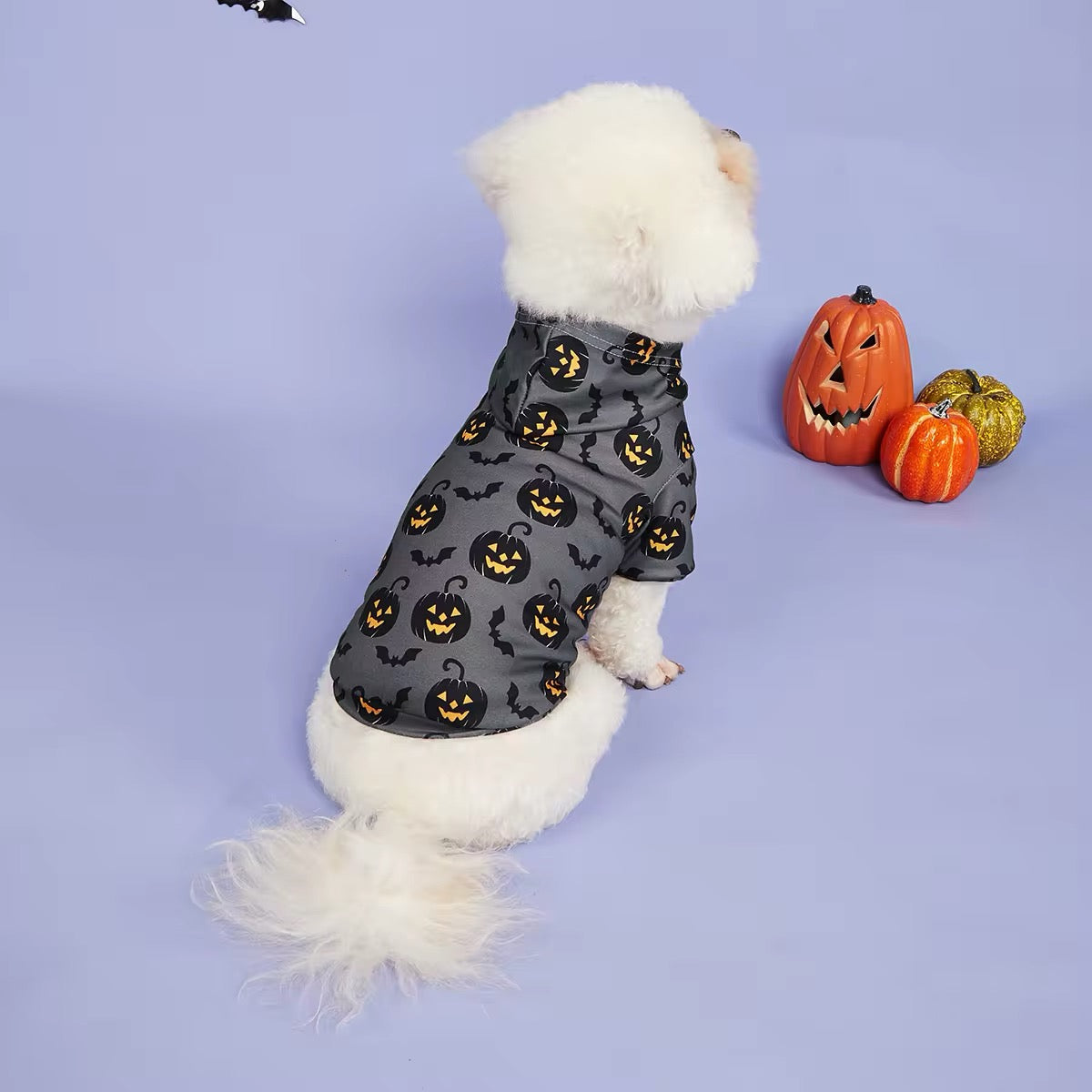 Halloween Pumpkin Dog Hoodie | Dog Hoodie