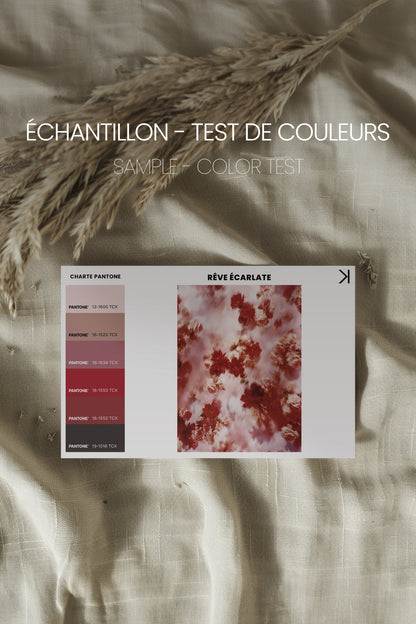 RÊVE ÉCARLATE, Oeuvre sur toile étirée