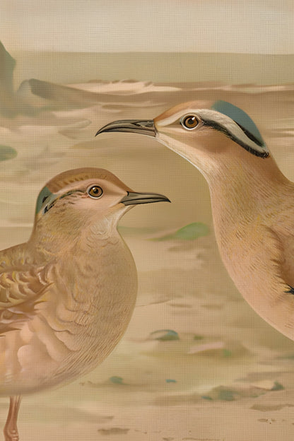 OISEAUX DE SABLE, CADRE VINTAGE ARGENT