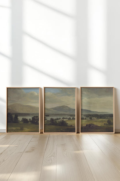 TRIO DES SAISONS DOUCES (3 Oeuvres sur toile étirée)
