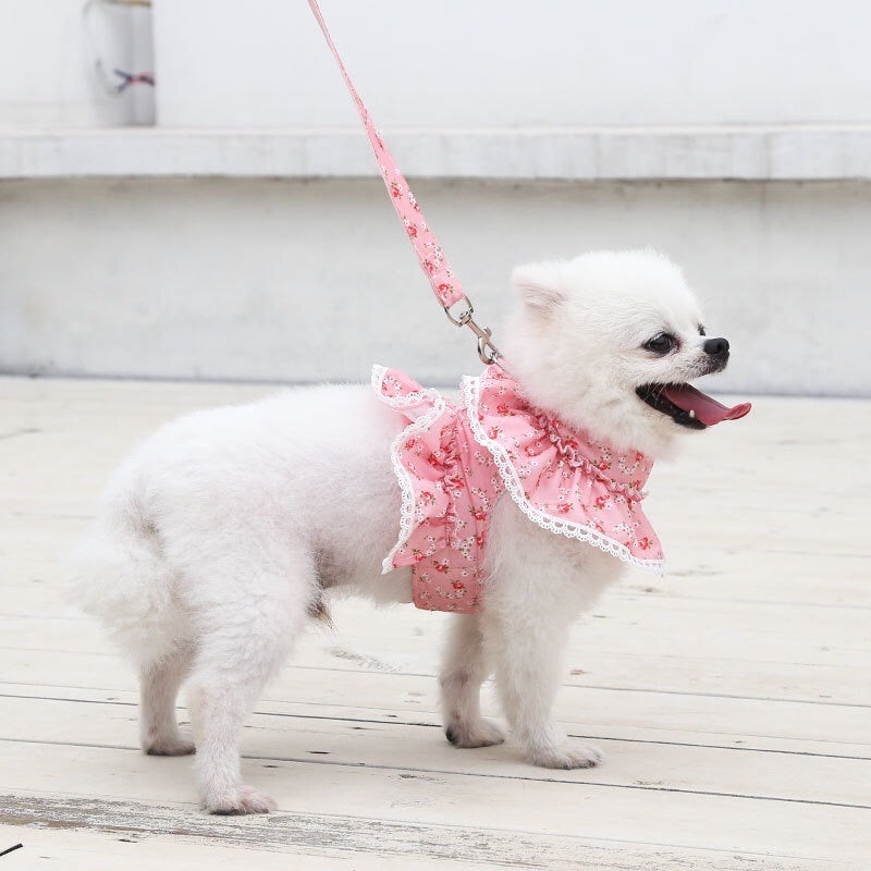Floral Dog Harness and Leash Set | Dog Walking Set