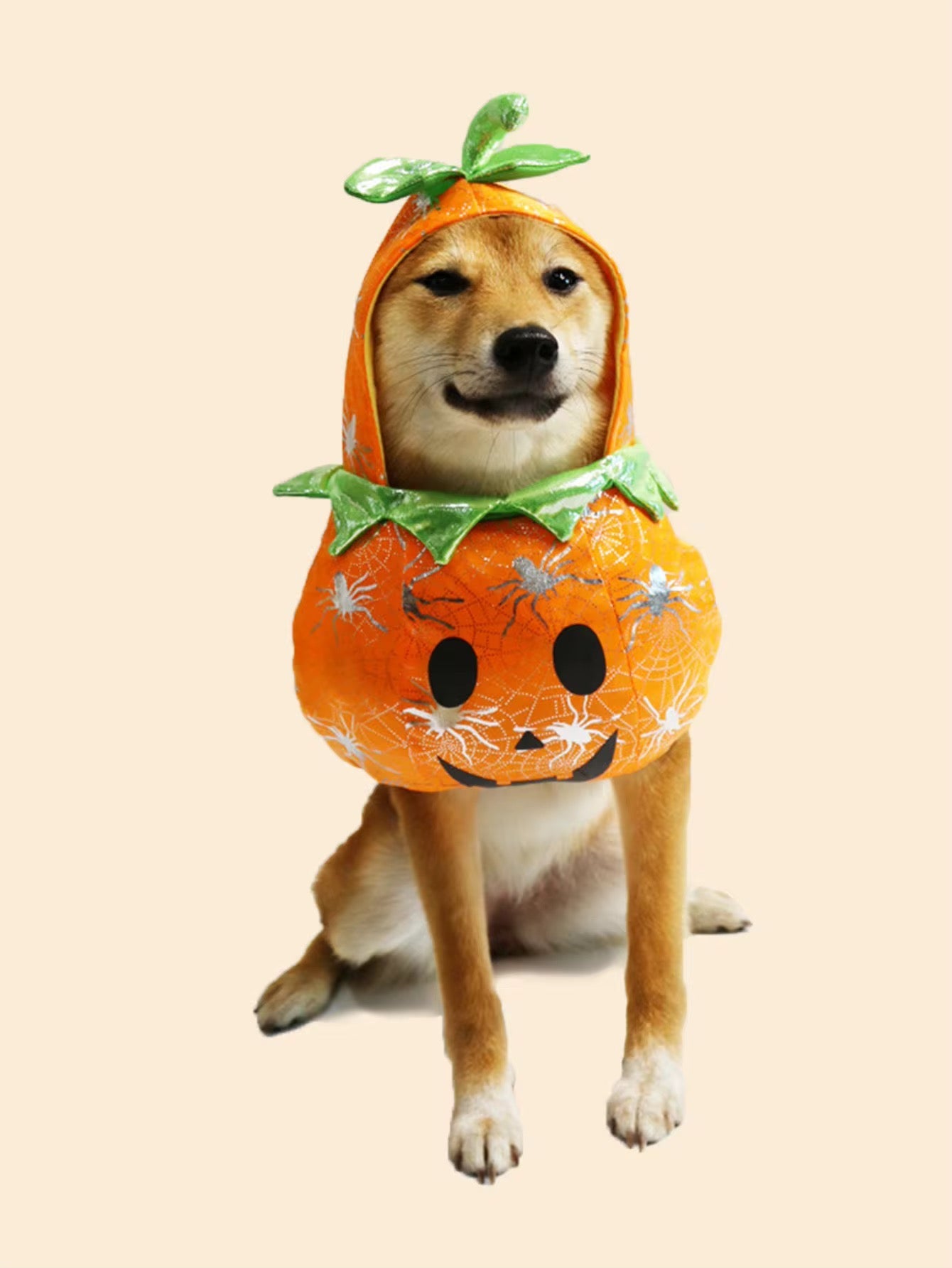 Pumpkin Dog Costume | Halloween Dog Costume