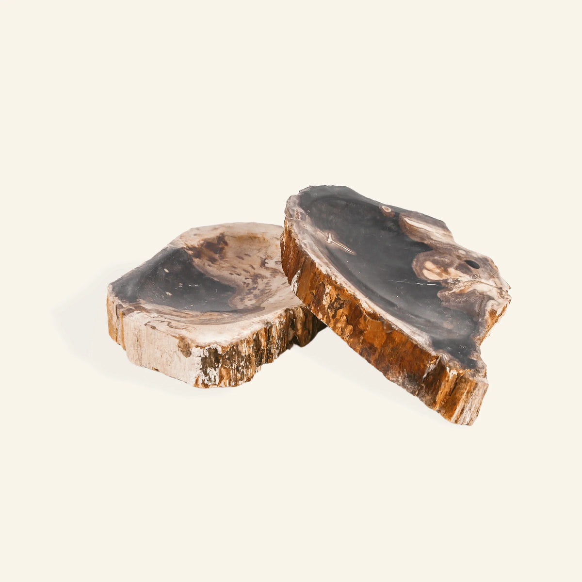 Porte savon en bois pétrifié