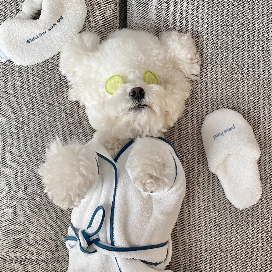 Dog Robe Set | Do Not Disturb Dog Robe with Toy