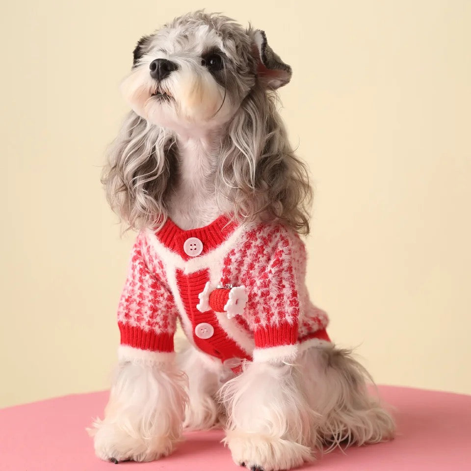 Rosalinda Cozy Knit Dog Sweater | Warm Everyday Dog Sweater