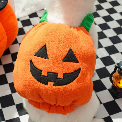 Pumpkin Dog Halloween Costume | Dog Costume for Halloween