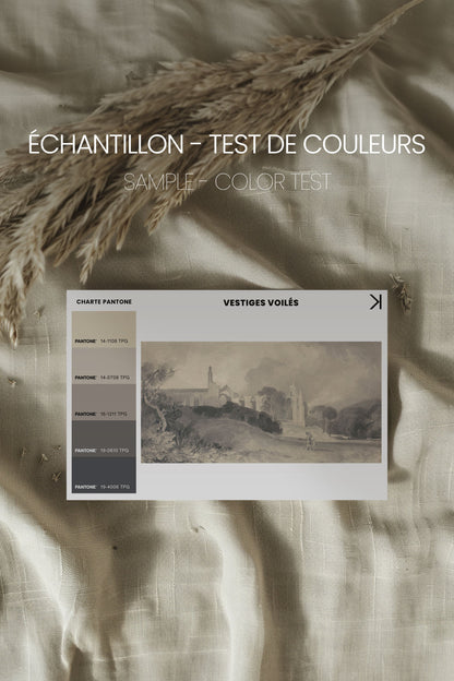 VESTIGES VOILÉS, Oeuvre sur toile étirée