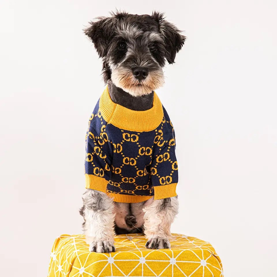 Gigi Bumble Bee Dog Sweater | Knit Dog Clothes for Small and Large Dogs