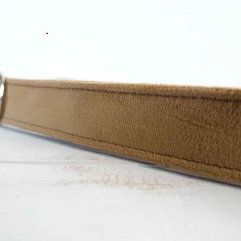 Pet dog ring leash