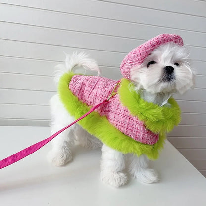Plaid Harness Set | Dog Harness Leash and Hat Set