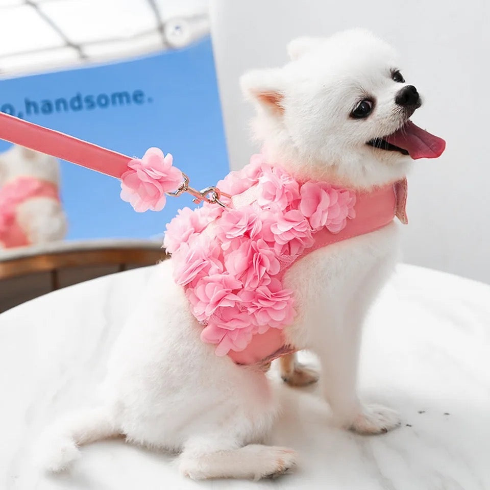 Cherry Blossom Harness and Leash Set – Luxury Floral Dog Walking Set