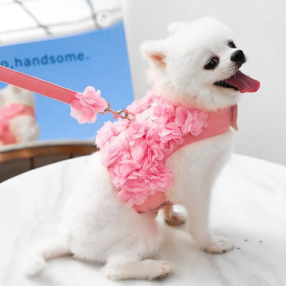 Cherry Blossom Harness and Leash Set – Luxury Floral Dog Walking Set