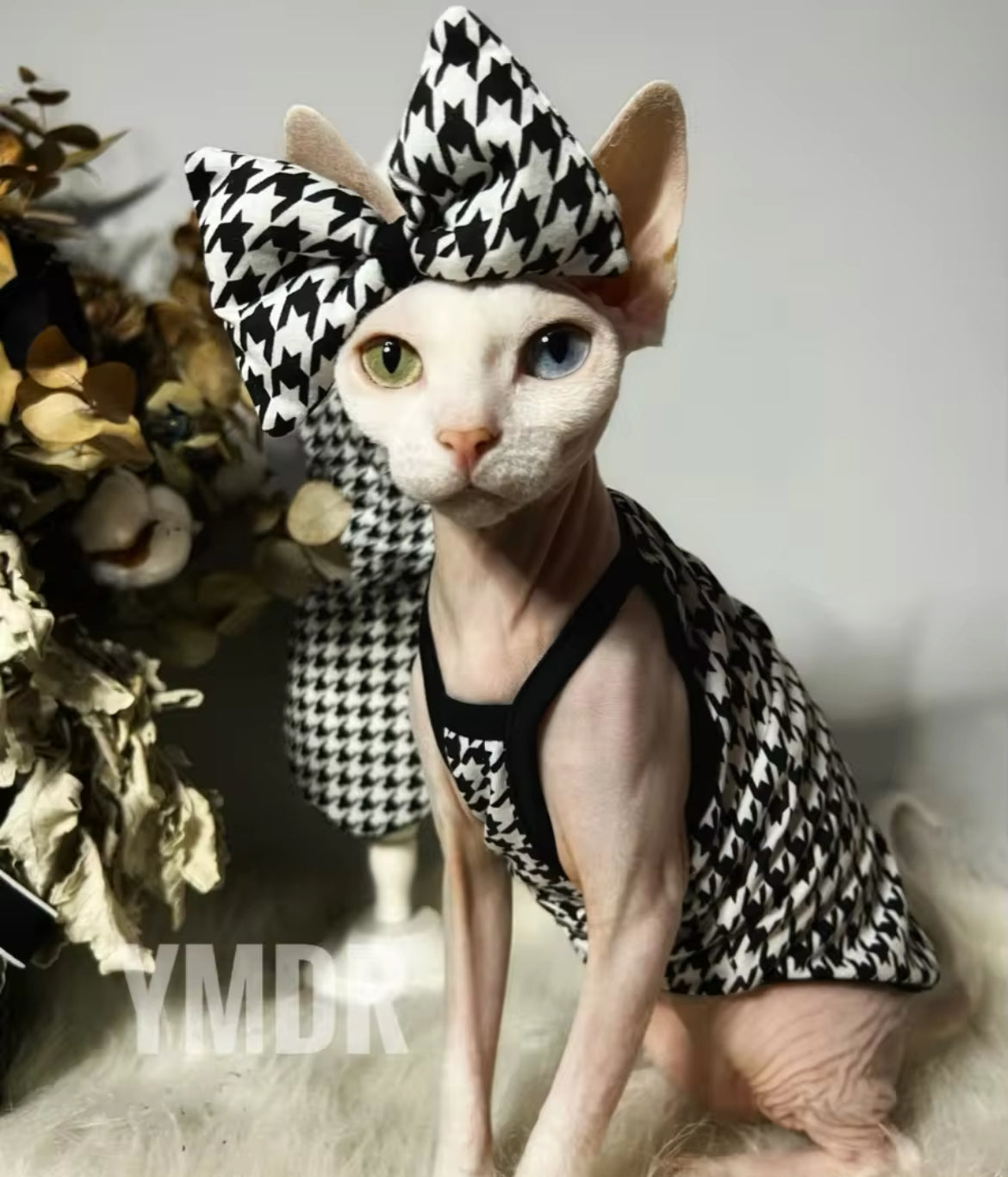 Leona Dog Dress | Dog Dress for Special Occasions