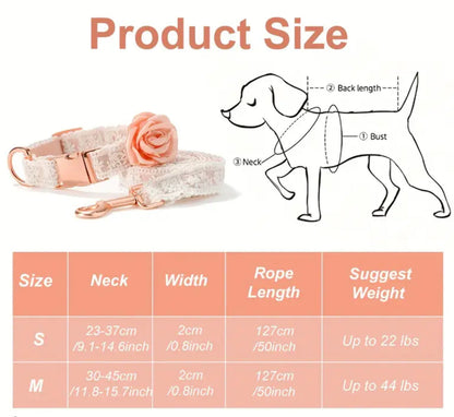 Enchanted Collar & Leash Set | Dog Collar and Leash