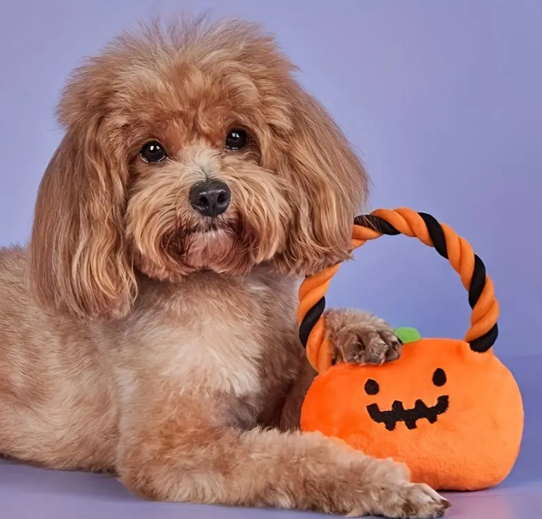 Pumpkin Dog Toy | Halloween Dog Toy
