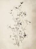 Esquisse Florale 1, CADRE VINTAGE