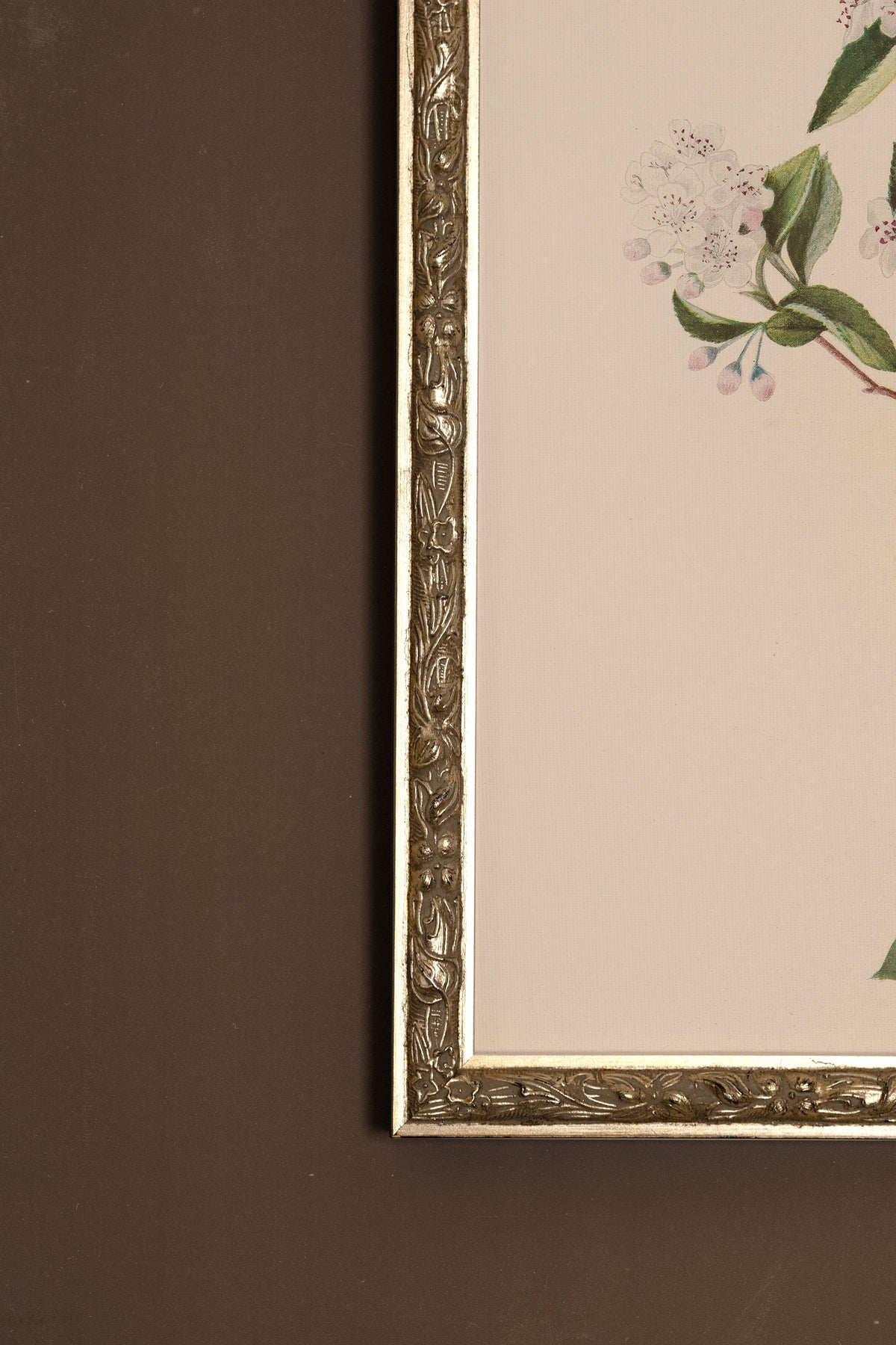 BRANCHE D'ÉPOQUE, CADRE VINTAGE ARGENT