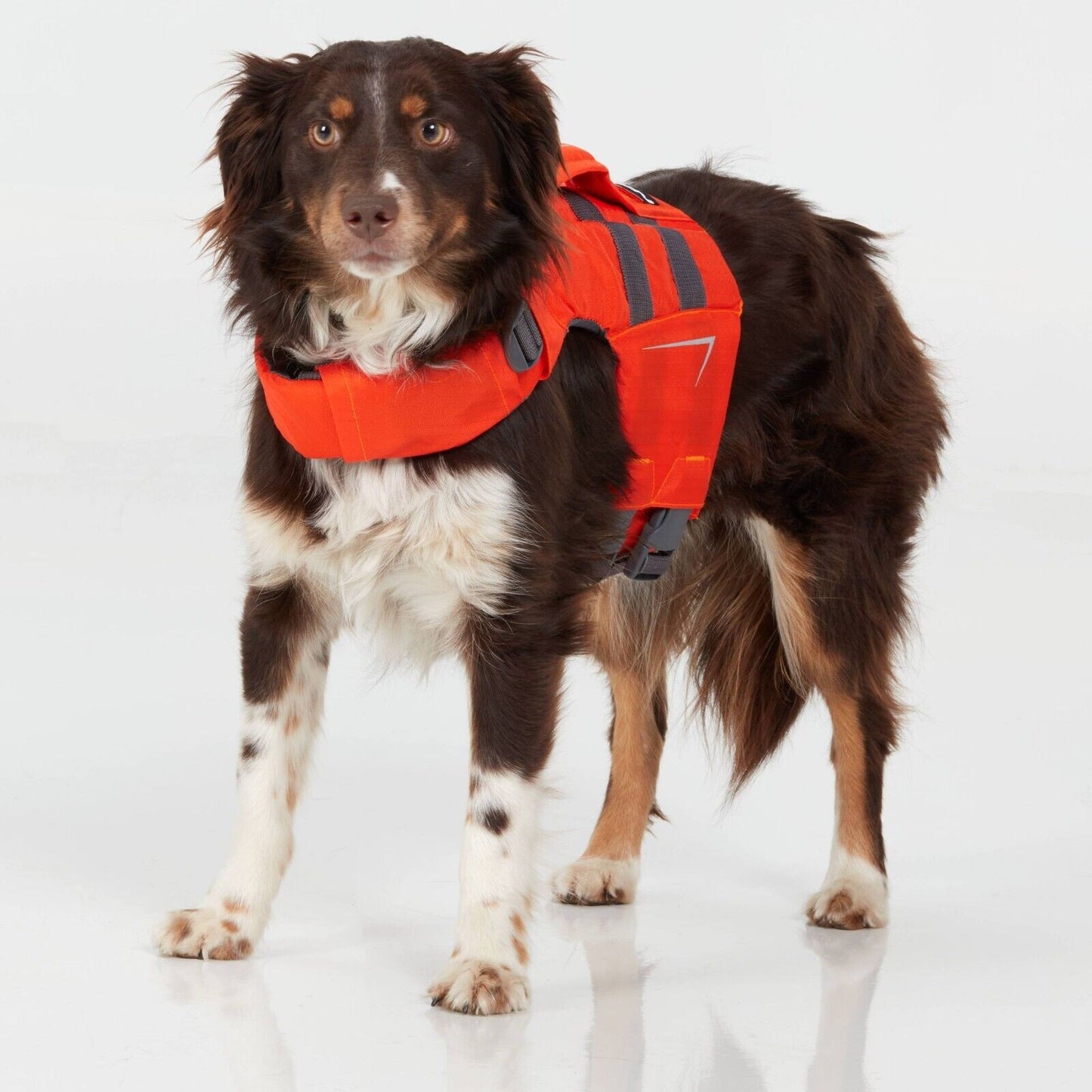 NRS CFD Dog Life Jackets Size XL