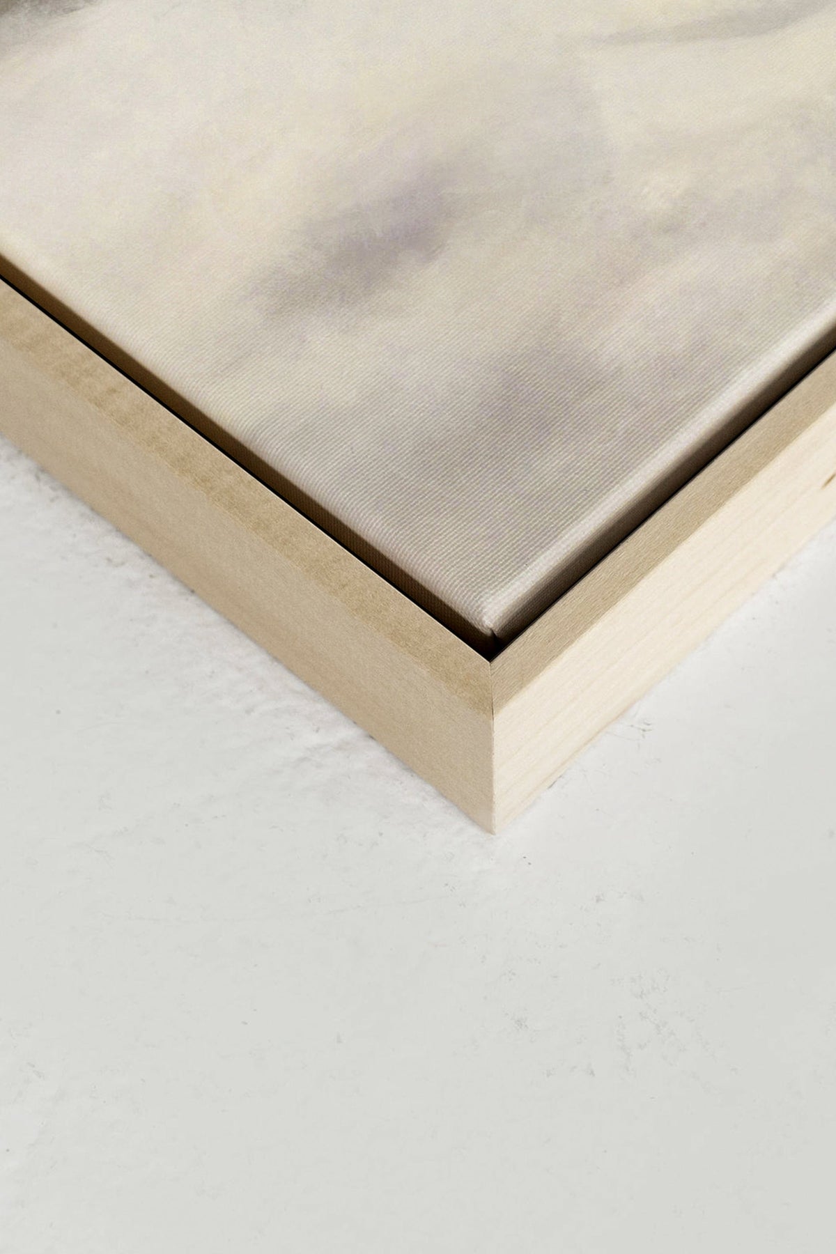 FROST, Oeuvre sur toile étirée